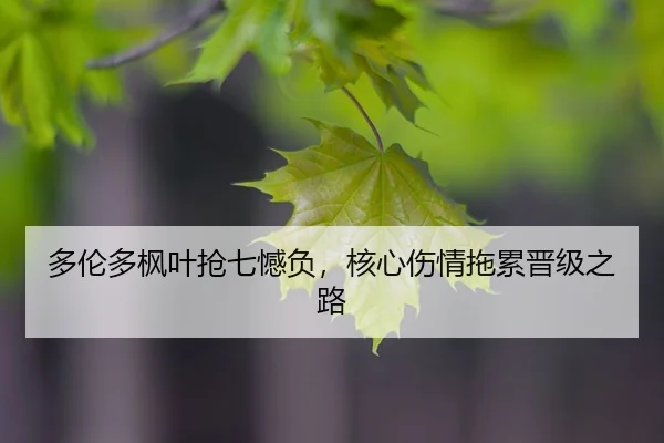 duo-lun-duo-feng-ye-qiang-qi-han-fu-he-xin-shang-qing-tuo-lei-jin-ji-zhi-lu-2-501.jpg